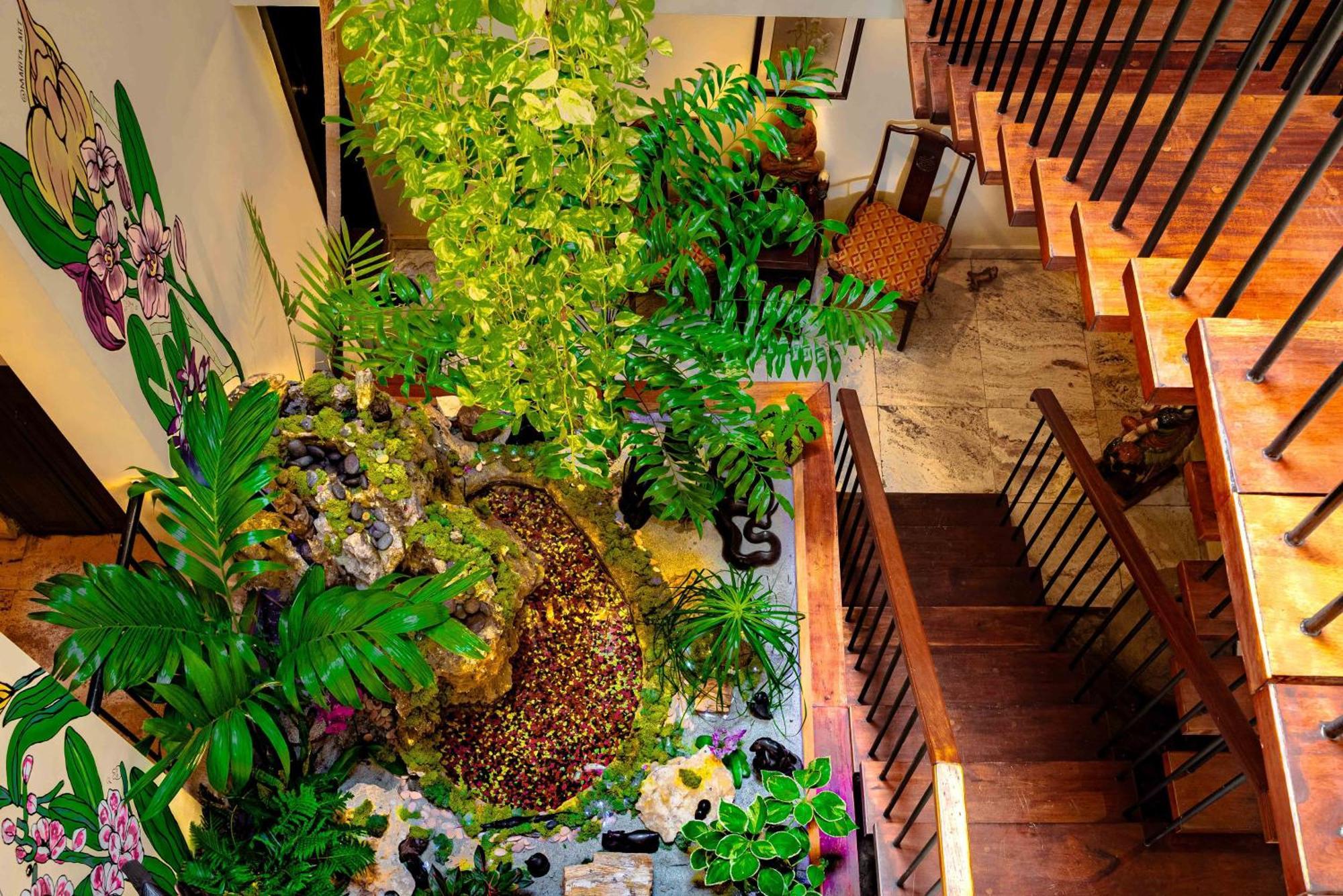 Casa Orquidea Alloggio in famiglia