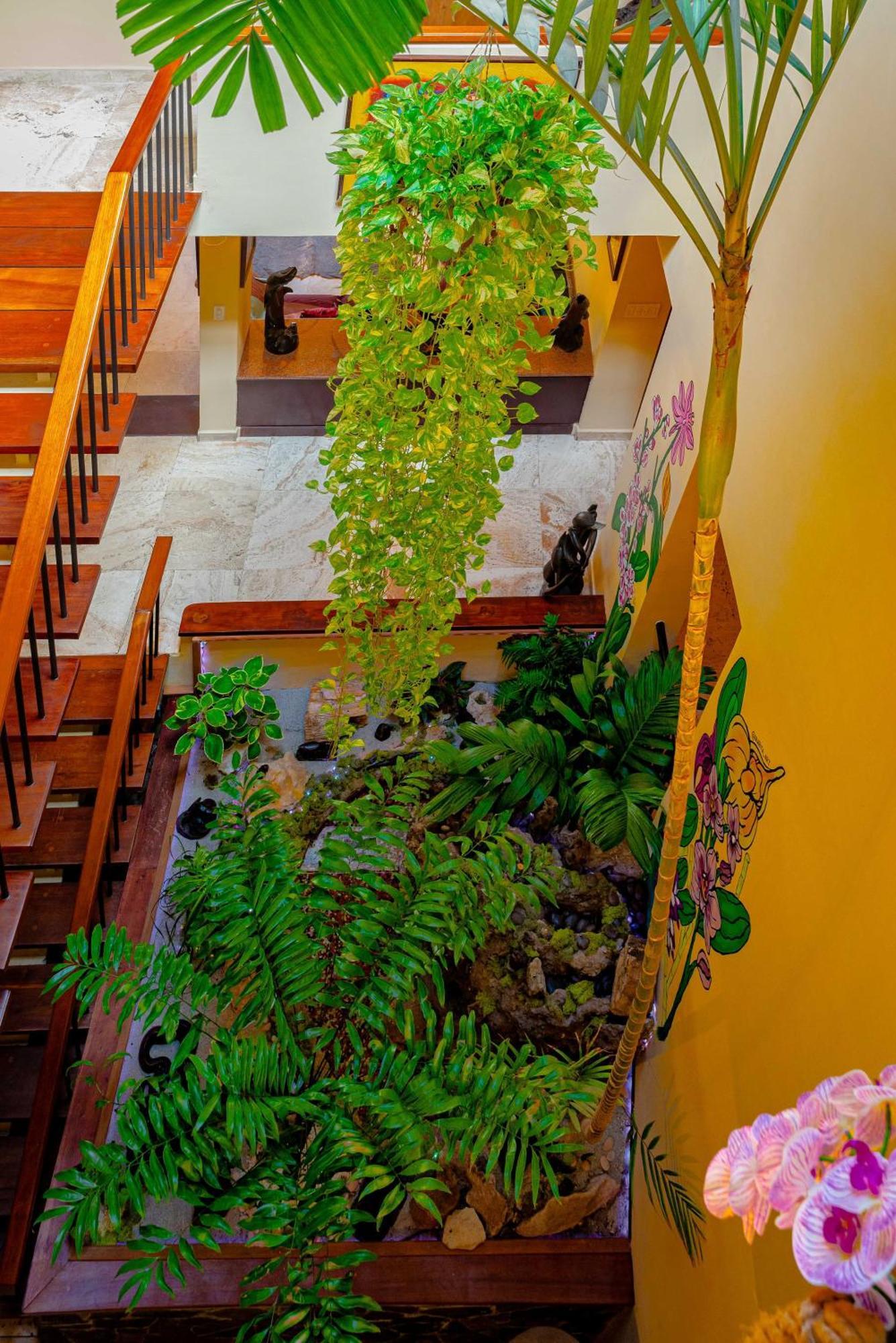 Casa Orquidea Alloggio in famiglia *