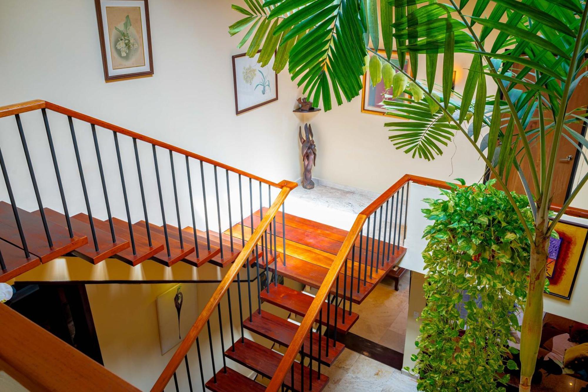 Casa Orquidea *